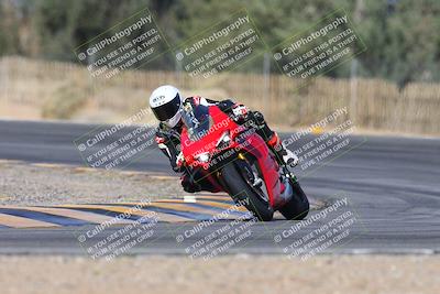 media/Feb-04-2024-SoCal Trackdays (Sun) [[91d6515b1d]]/2-Turn 3 (1015am)/